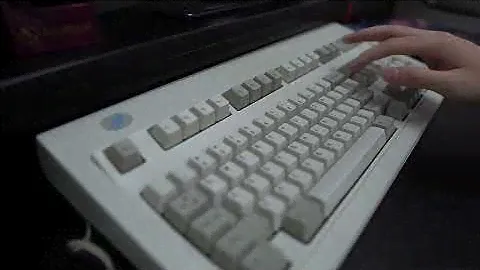 I bought the 1994 IBM Model M Keyboard...