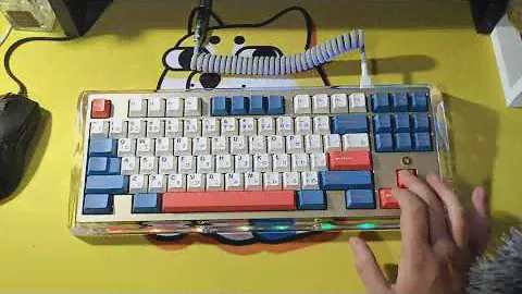 EO87 with Linjar Switches - Typing Test